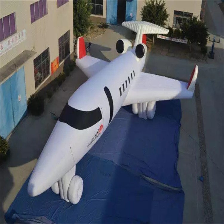 天水充气模型飞机